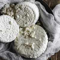 Fresh Cheese Fresh Cheese