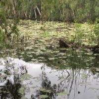waterways-small waterways